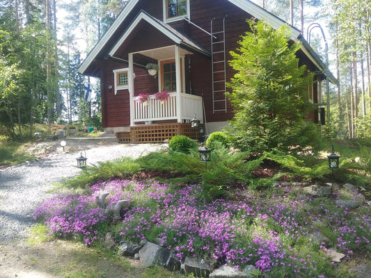 Kuvan mökki maalattu 2007 punaruskealla